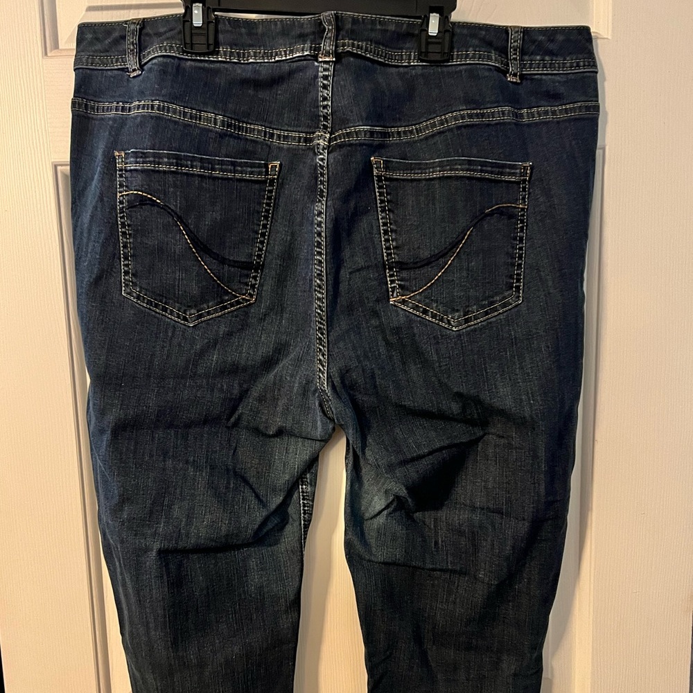 Lane Bryant Genius Fit Skinny Jeans